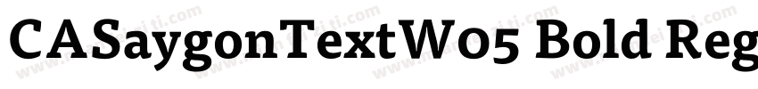 CASaygonTextW05 Bold Regular字体转换